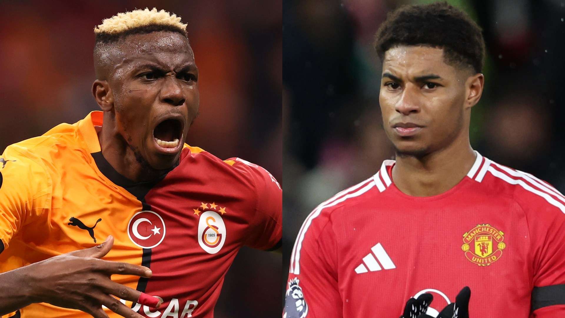 进一步明确 进一步明确