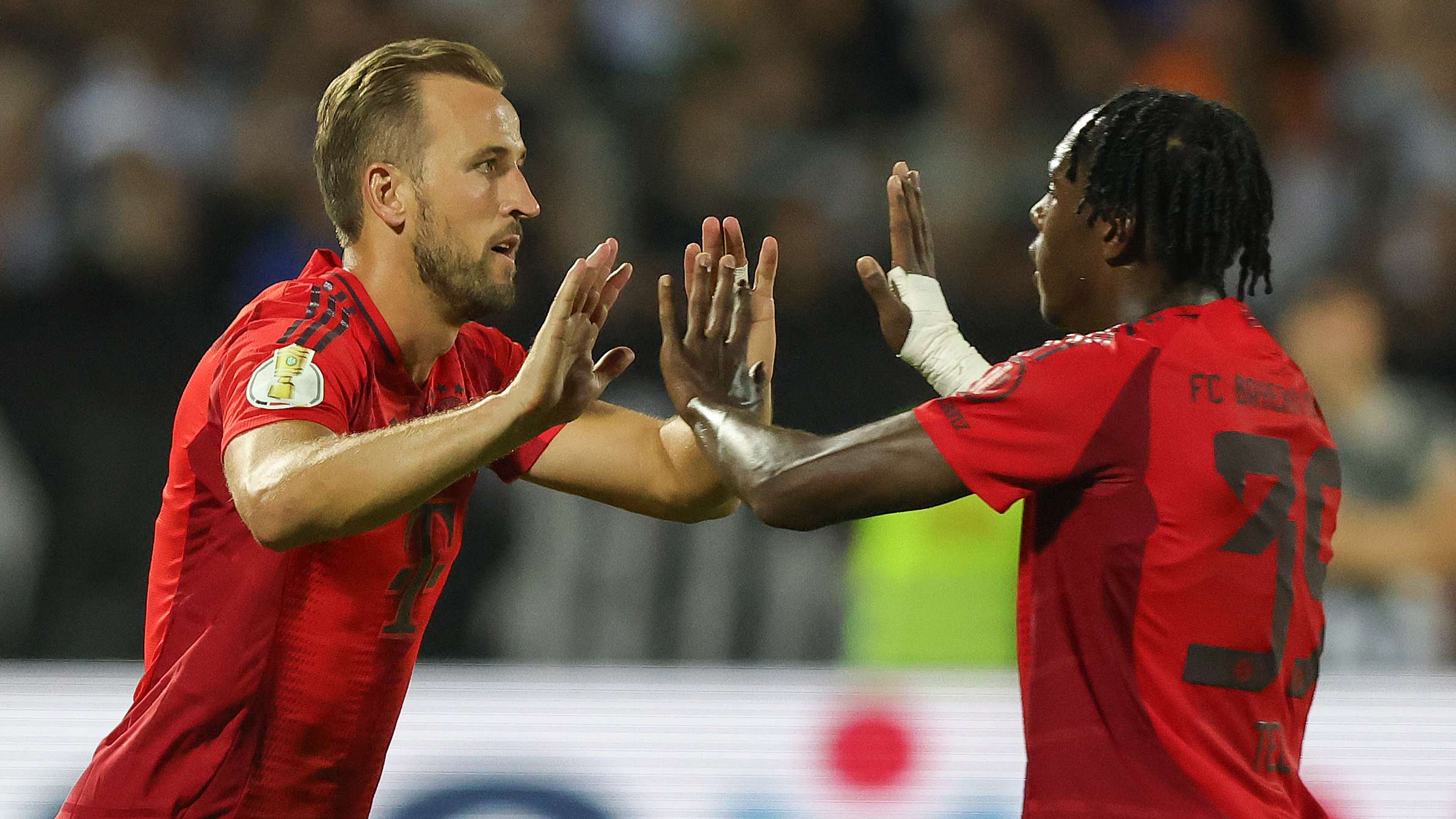 成功培育出 成功培育出