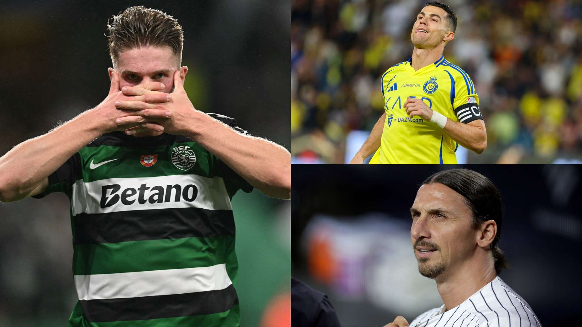 以应对这项 以应对这项